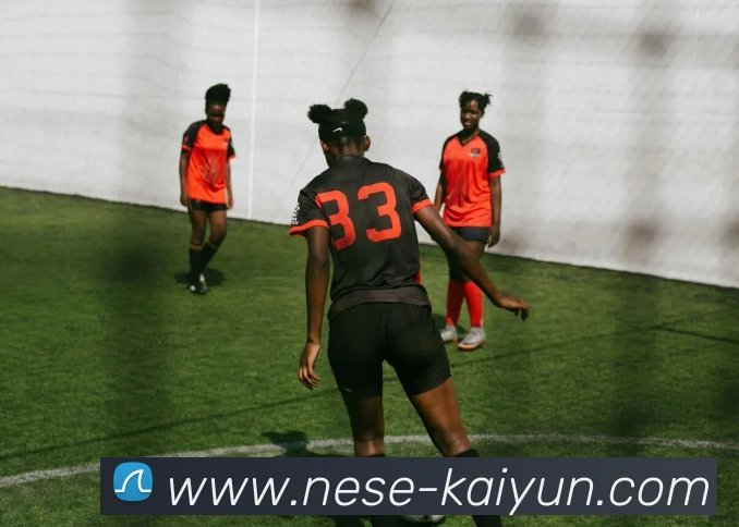 多媒体互动体验